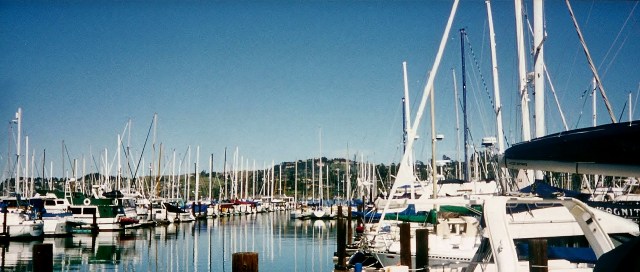 harbor