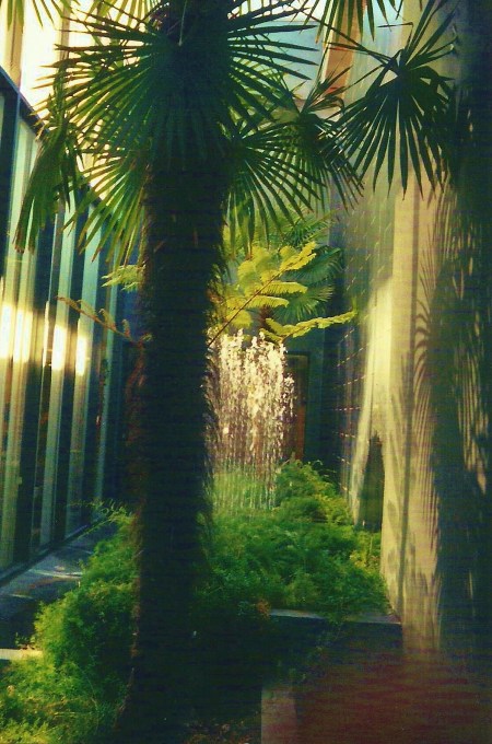 Palm Grotto