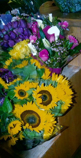 sunflowers2