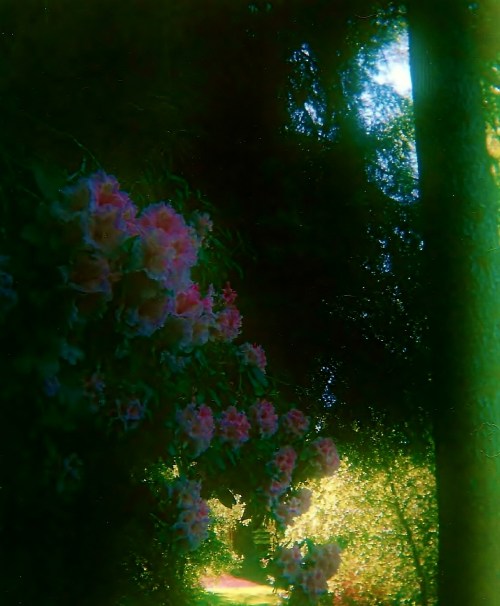 parksandflowers 001 - Copy