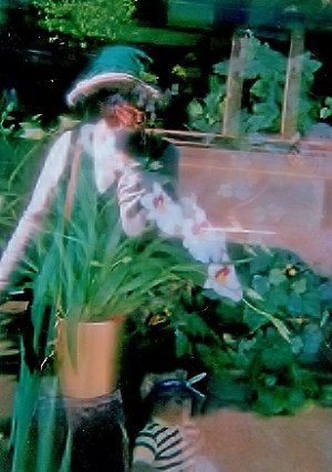 JD with orchids and teddy bear