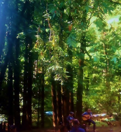 Redwood glen concert
