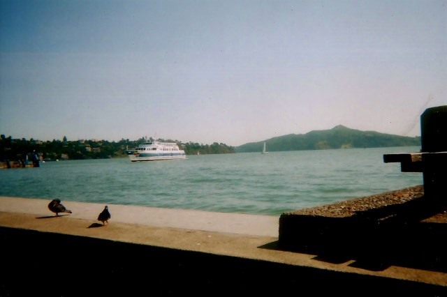 ferry coming